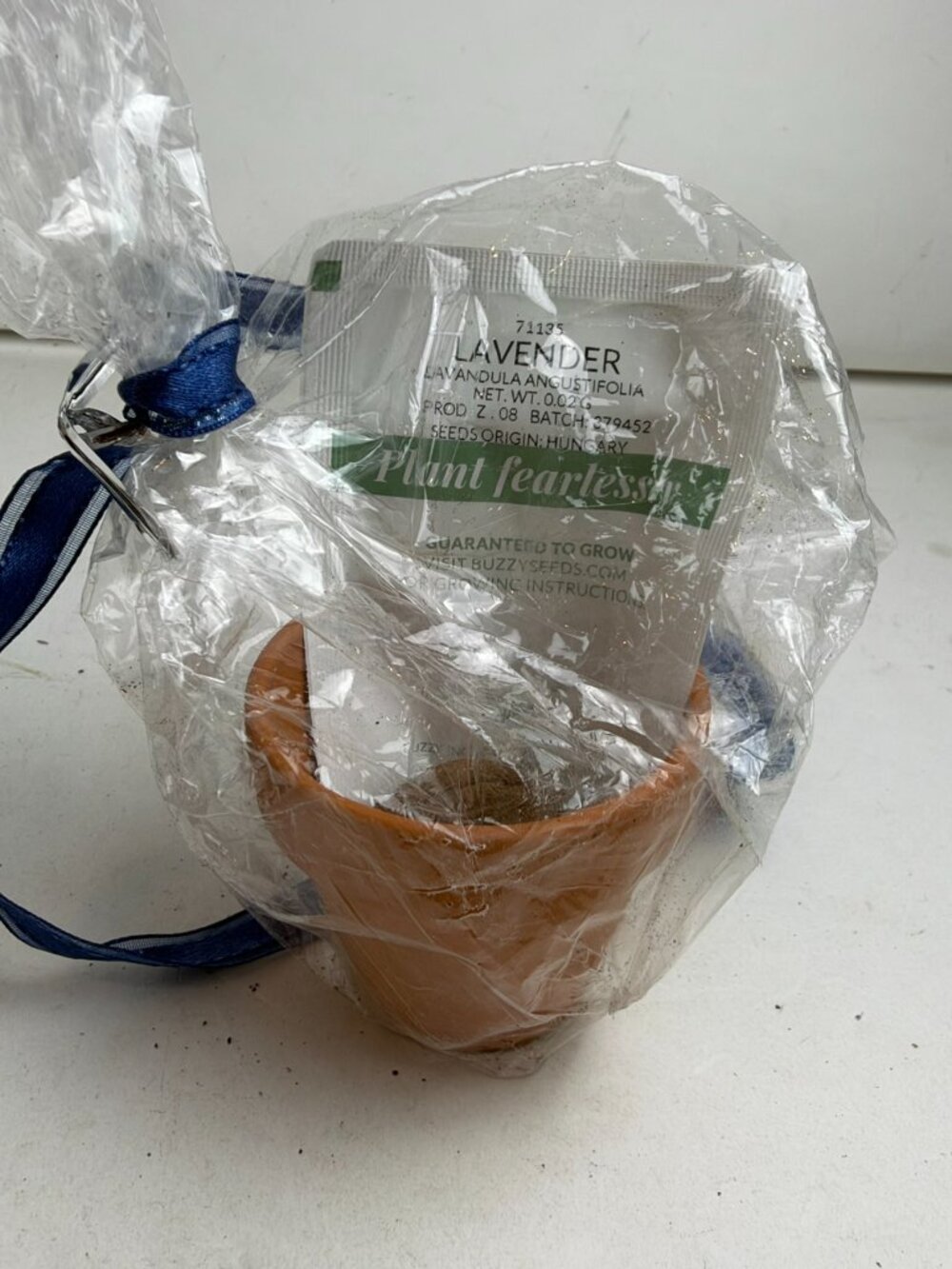Buzzy Seeds Lavender Mini Terra Cotta Grow Kit Plant Fearlessly 2" Pot Sealed